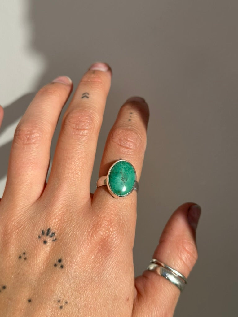 Spider Monkey Size 7 - Turquoise Ring